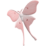 Luna Moth - Face (Pink)
