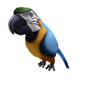 Macaw Shoulder Friend