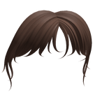 Messy Bangs in Brown