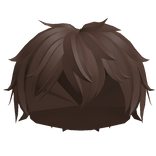 Messy Boy Hair in Brown