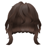 Messy Curly Wolf Cut Hair in Brown