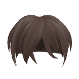 Messy Popular Boy Hair in Brown