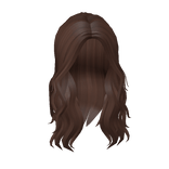 Messy Wavy Hair in Brown