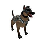 Military Dog