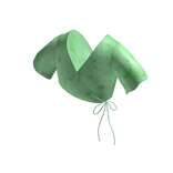 Mint Floral Spring Tied Crop Top 