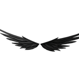 Misfortune's Guardian's Wings