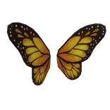 Monarch Butterfly Wings