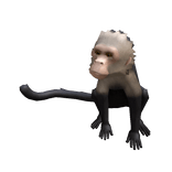 Monkey Companion (1.0 Neck Attach)