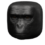Monkey Head