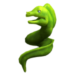 Moray Eel Friend