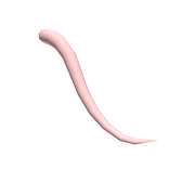Mouse Tail