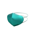 N95 Mask