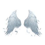 New Elves Wings