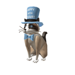 New Years Kitty