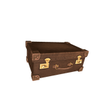 Newt’s Magical Case