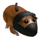Ninja Guinea Pig