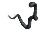 Obsidian Snek