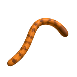 Orange Cat Tail