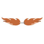 Orange Flame Sunglasses