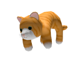 Orange Tabby Cat