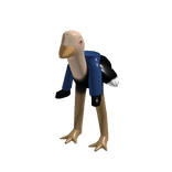 Ostrich Riding Costume 