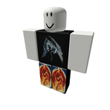 other part of dragon suit