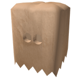 Paper Bag Disguise