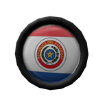 🇵🇾 Paraguay Flag Lapel Pin
