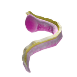 Pastel Petal Dragon Tail