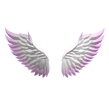 Pastel Pink Feather Wings