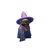 Patience the Pug Wizard