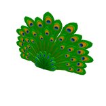 Peacock Tail