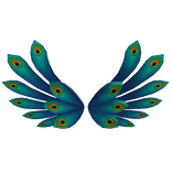 Peacock Wings