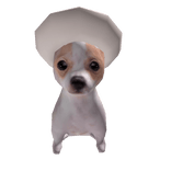 Perrito with hat