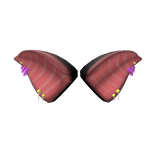 Pink Bat Ears
