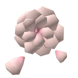 Pink Flower Mouth Piece