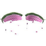 Pink Flower Petal Wings