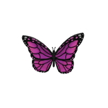 Pink Forehead butterfly