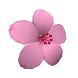 Pink Hair Flower
