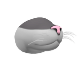 Pink Nose Grey Cat Snout