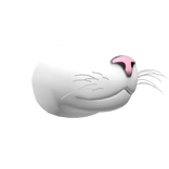 Pink Nose White Cat Snout