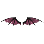 Pink shinigami wings