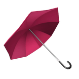 Pink Umbrella