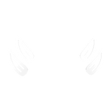 Playful Snap Clips White