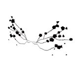 Poisonous Thorned Black Rose Wings