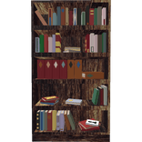 Portable Library Bookcase