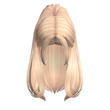 Preppy & Silky  high ponytail