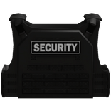 Private Security Ballistic Vest (Black)