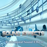 Professional Sound Effects Group