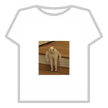 Просто кот.